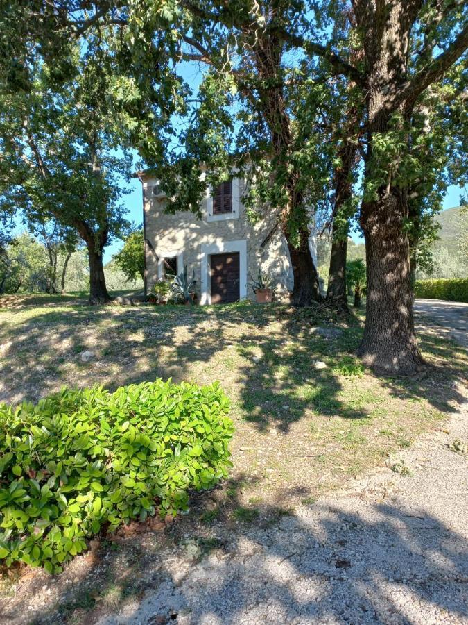La Casetta Di Vacone Exteriör bild