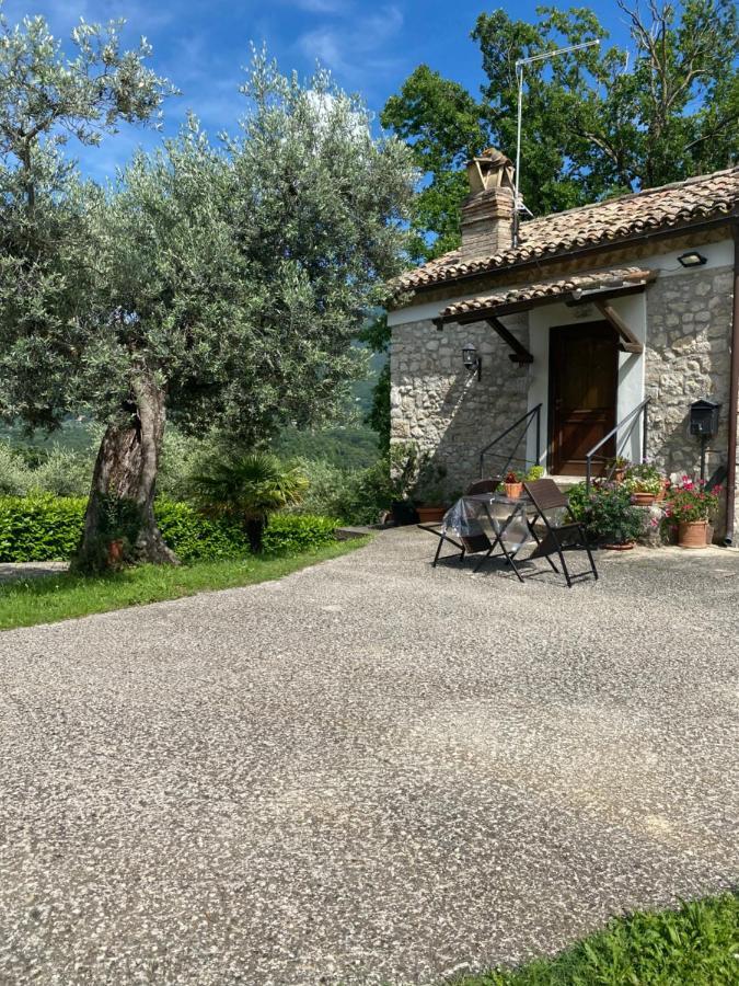 La Casetta Di Vacone Exteriör bild