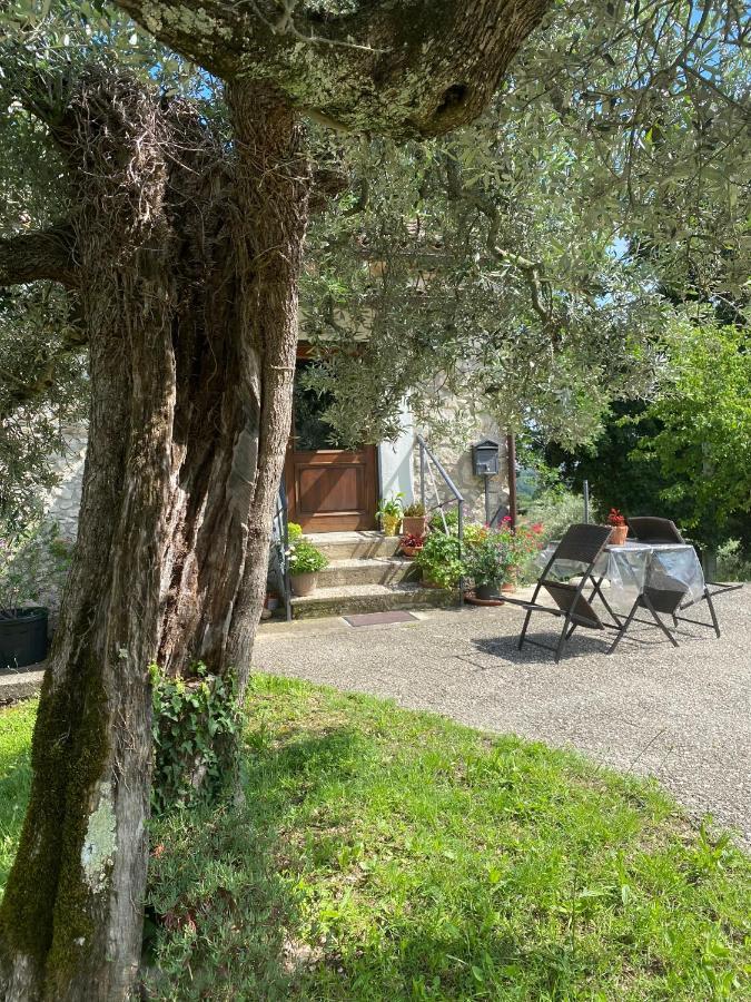 La Casetta Di Vacone Exteriör bild